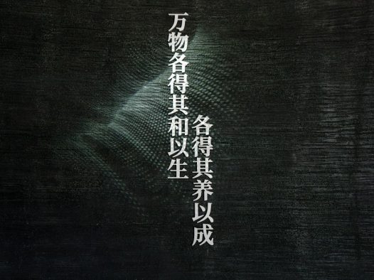 钝感力:为什么反应慢的人反而混得更好